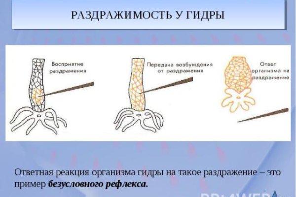 Kraken 12 at сайт