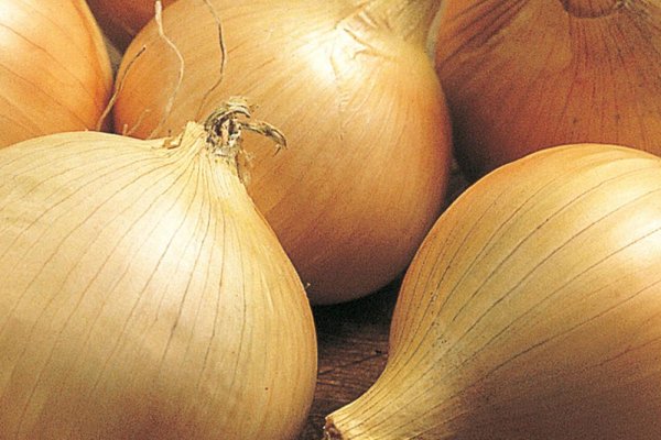 Kraken в россии