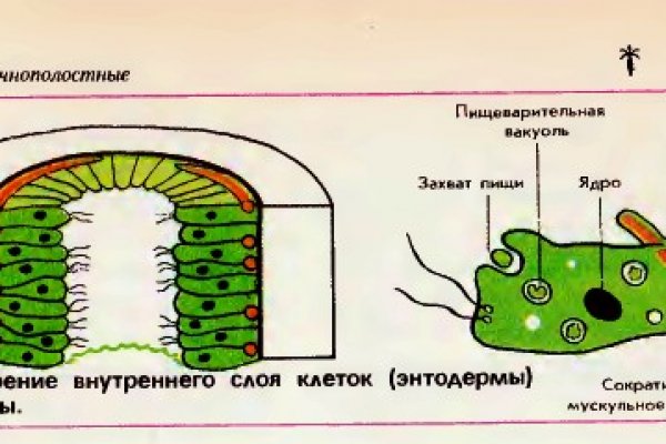 Кракен настоящий сайт