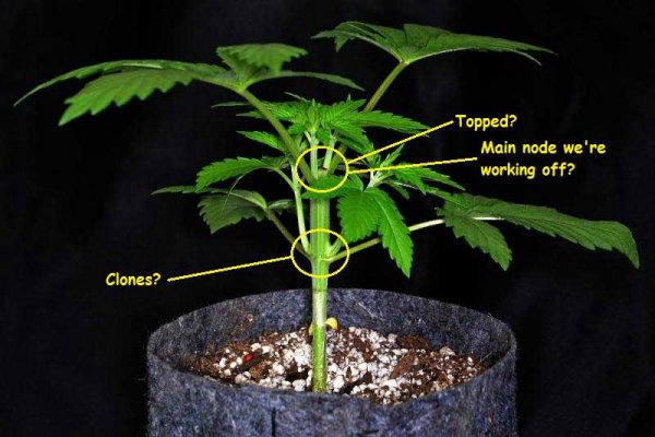 Кракен сайт ссылка kr2web in