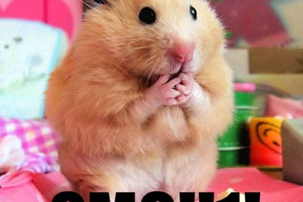 Кракен безопасный вход